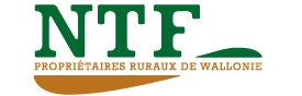 Logo NTF